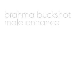 brahma buckshot male enhance
